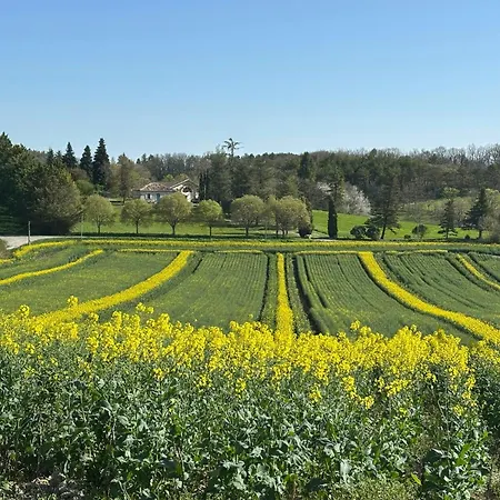 Ferienhaus Stone Manor House In Quercy Belveze