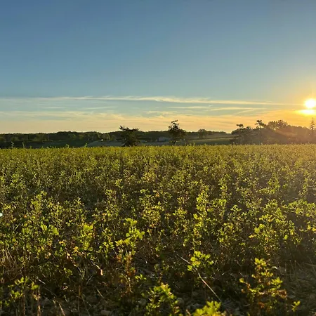Stone Manor House In Quercy * Belveze