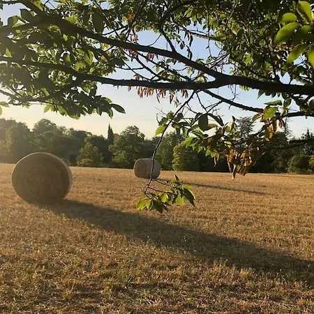 Stone Manor House In Quercy *