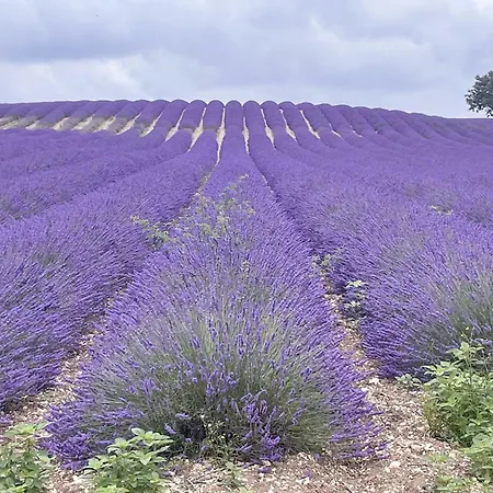Stone Manor House In Quercy * Belveze