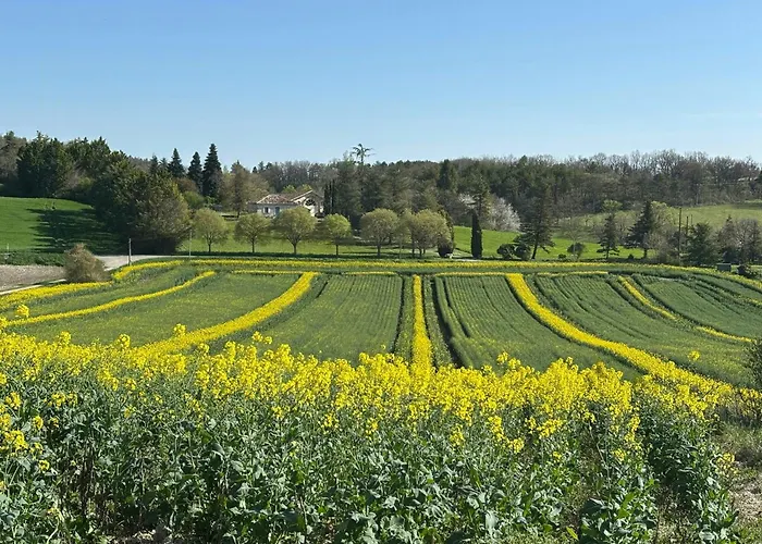 펜션 Stone Manor House In Quercy Belveze