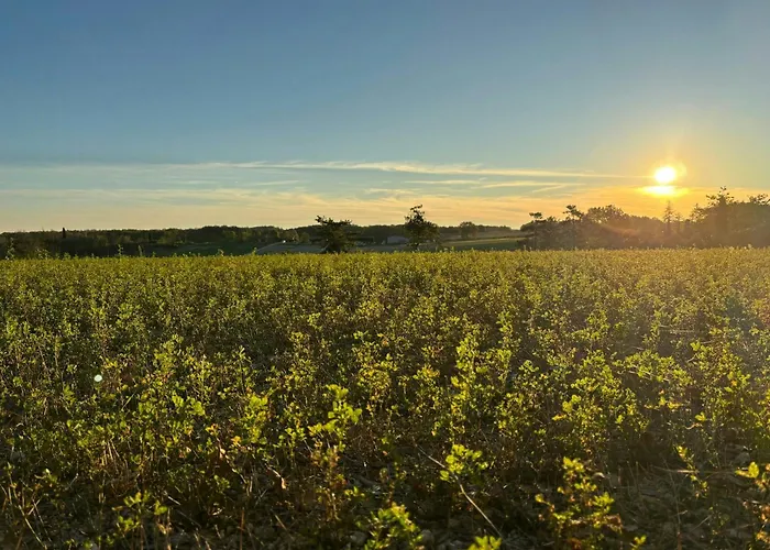 Stone Manor House In Quercy * Belveze
