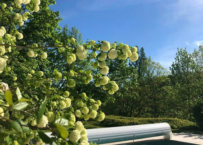 Stone Manor House In Quercy 펜션 *