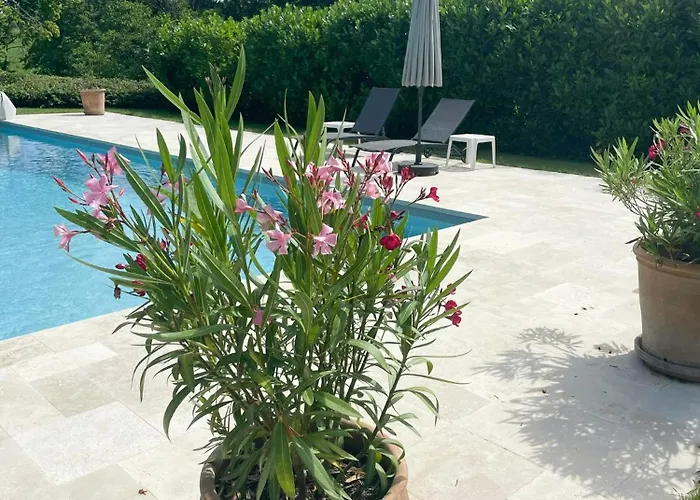 펜션 Stone Manor House In Quercy Belveze