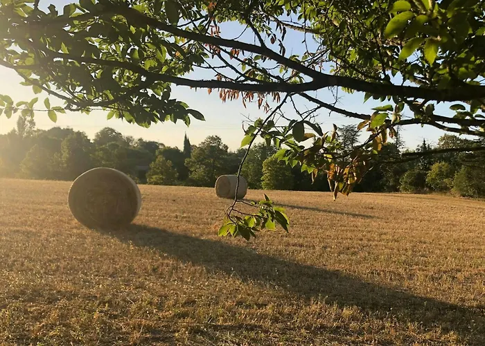 Stone Manor House In Quercy *